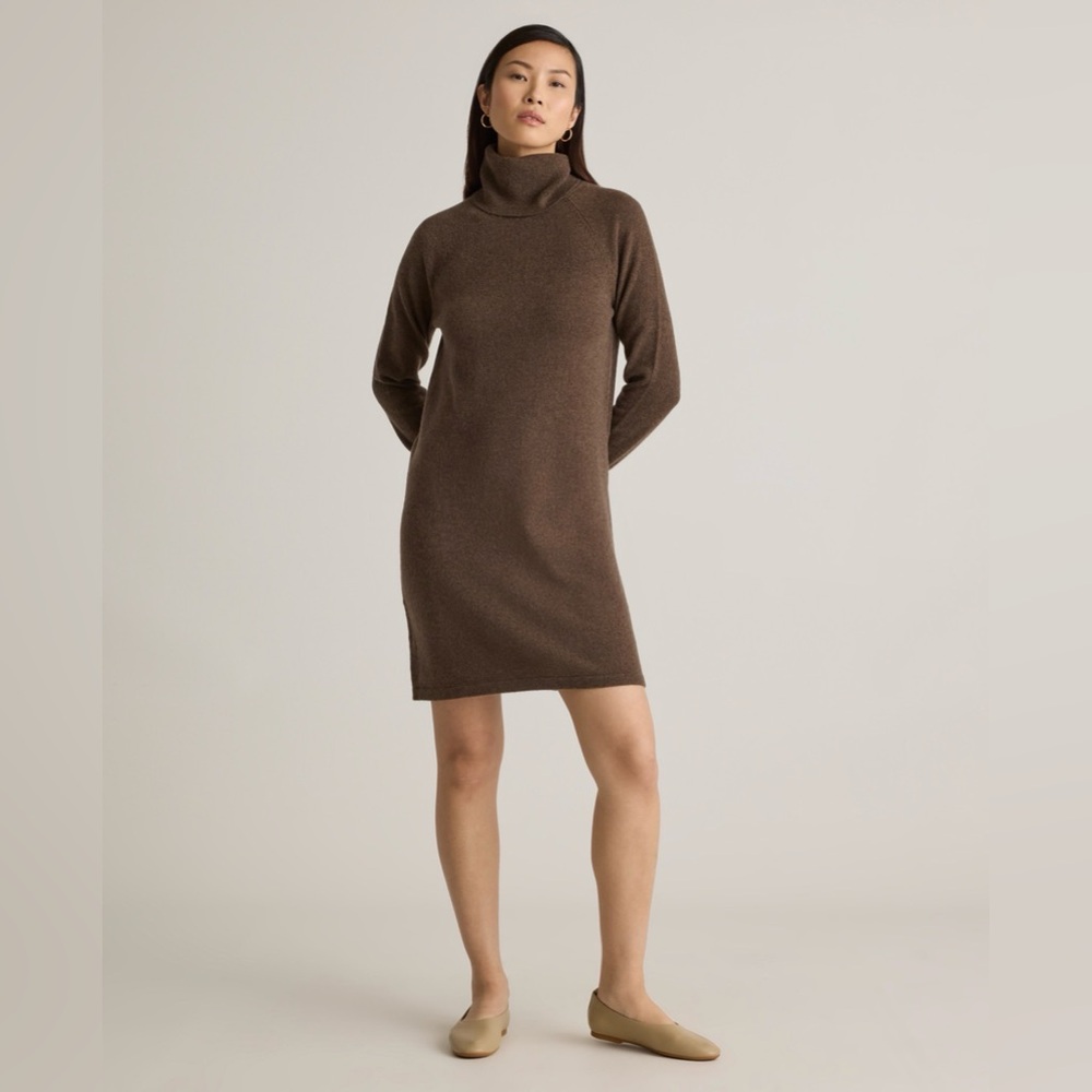 Quince Mongolian Cashmere Turtleneck Sweater Dress